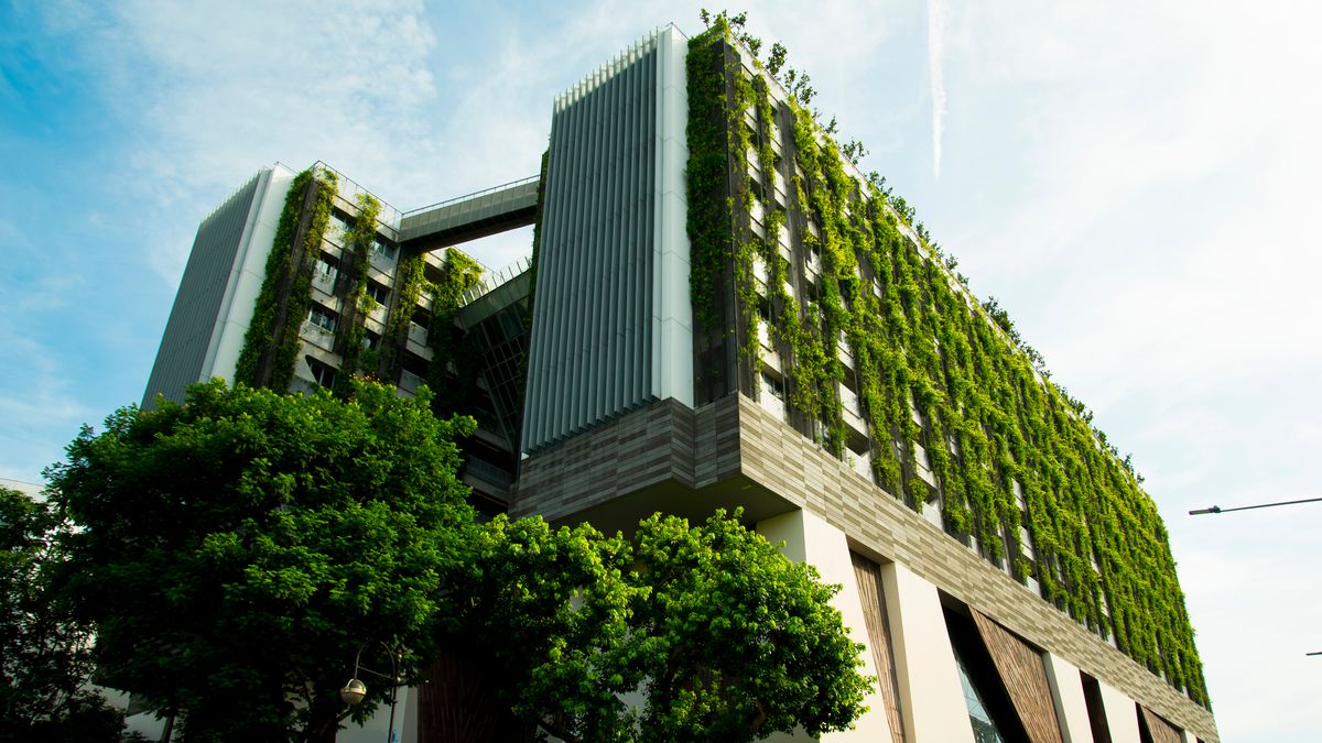 Singapur sází na zeleň. Parky se tu rozrůstají i na budovy a do interiérů